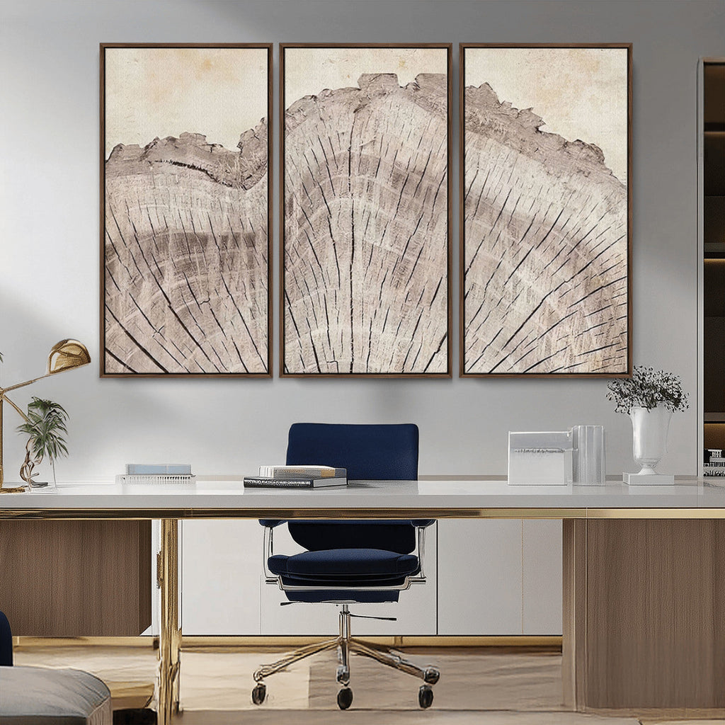 Tree Ring Wall Art Triptych, Rustic Wood Ring Canvas Print