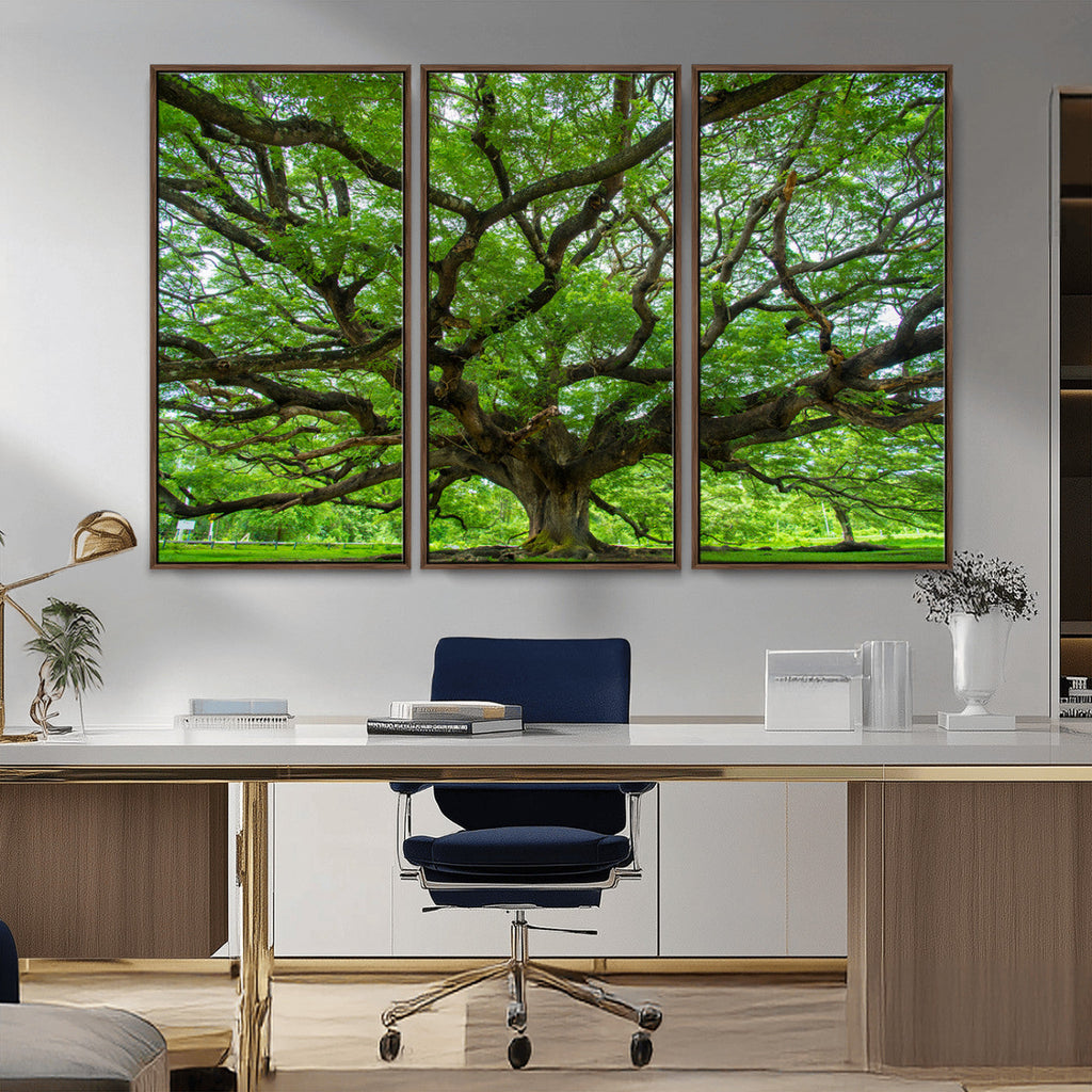 Ancient Tree Wall Art Canvas Print, Framed Sprawling Branches