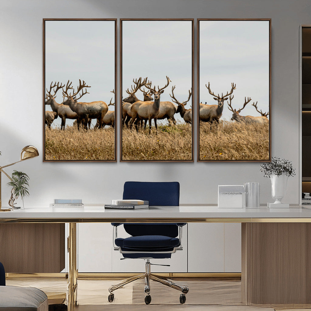Elk Herd Wall Art Canvas Print, Framed Wildlife Photography Art, Majestic Antlers Rustic Wildlife Decor