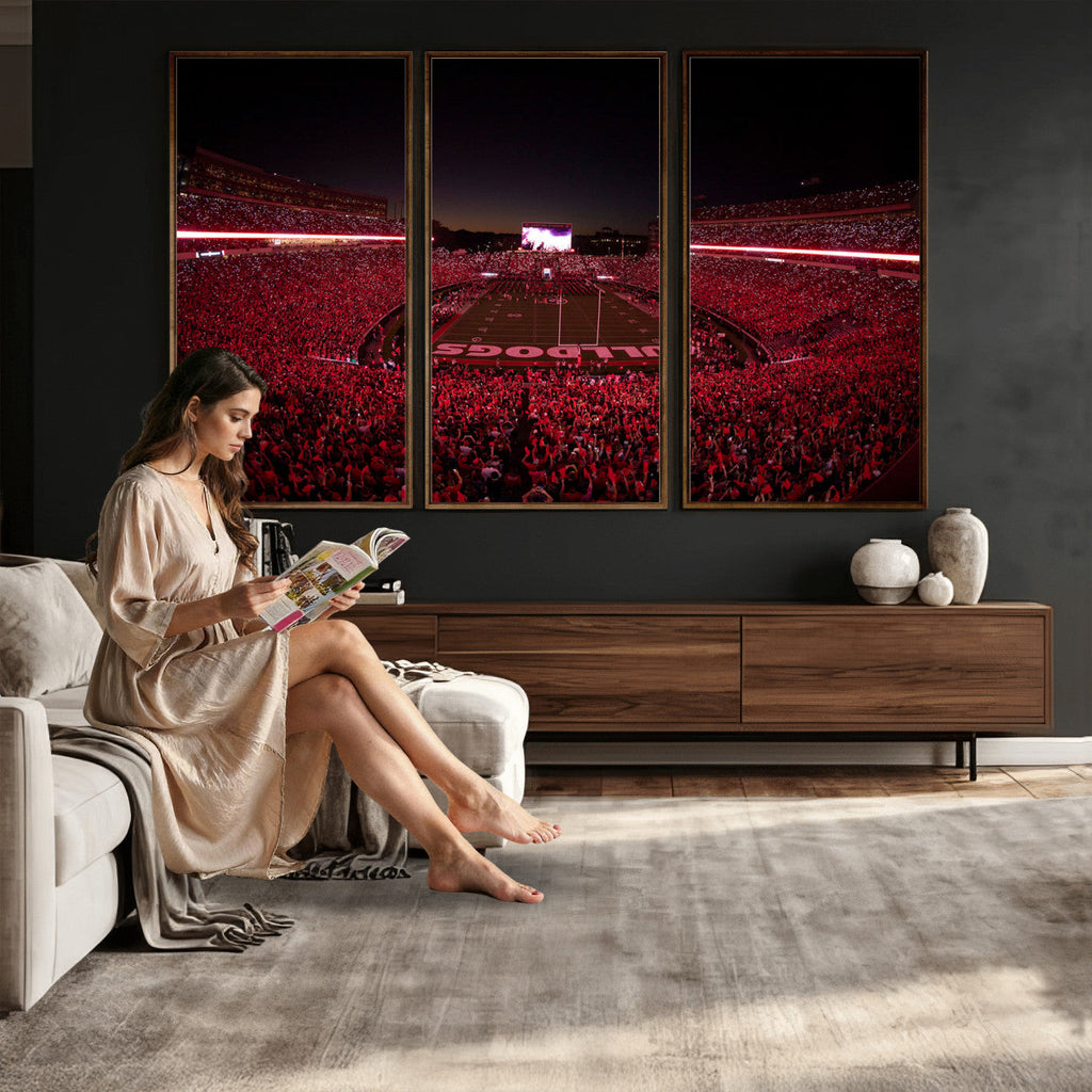 Dooley Stadium Wall Art, Sports Arena Canvas Print, Dooley Field Sanford Stadium