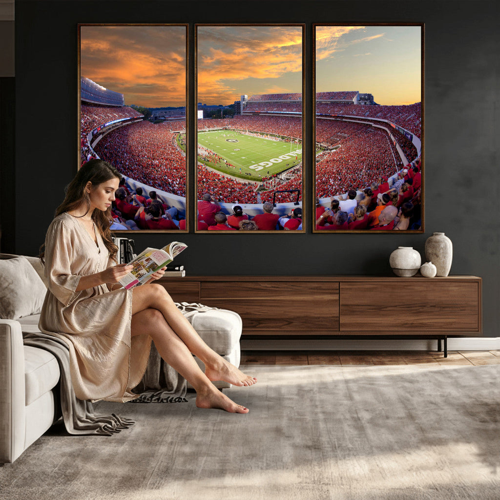 Dooley Stadium Wall Art, Sports Arena Canvas Print, Dooley Field, Framed and Ready to Hang