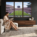TCU Horned Frogs Football Team Print, Fort Worth Amon G. Carter Stadium, Framed and Ready to Hang