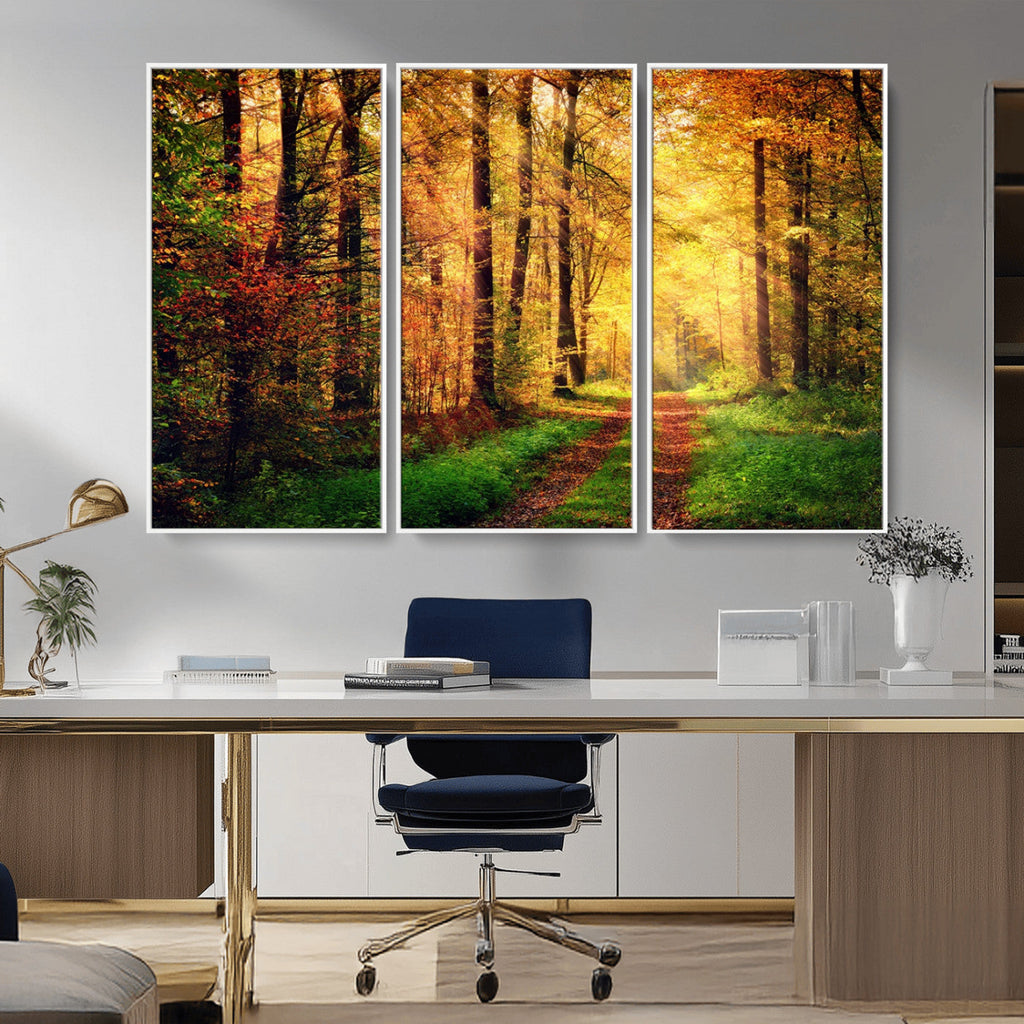 Sunlight Through Trees Wall Art Canvas Print | Autumn Forest Wall Art
