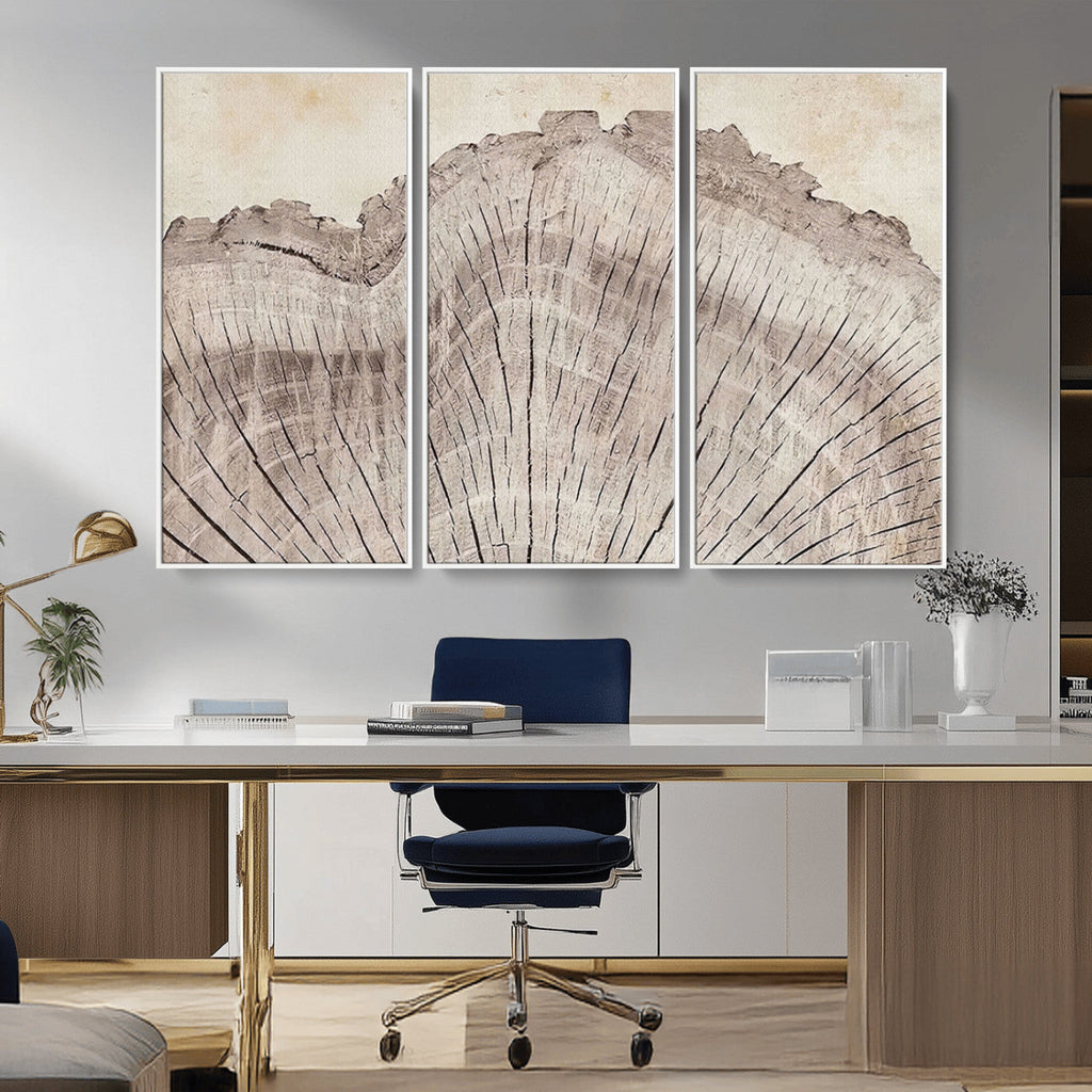 Tree Ring Wall Art Triptych, Rustic Wood Ring Canvas Print