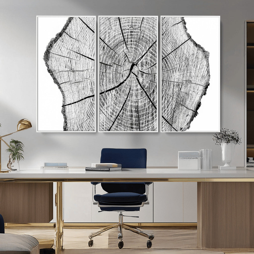 Rustic Tree Ring Wall Art Canvas Print, Framed and Ready to Hang