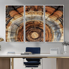 Tree Rings Wall Art Canvas Print, Rustic Wood Grain