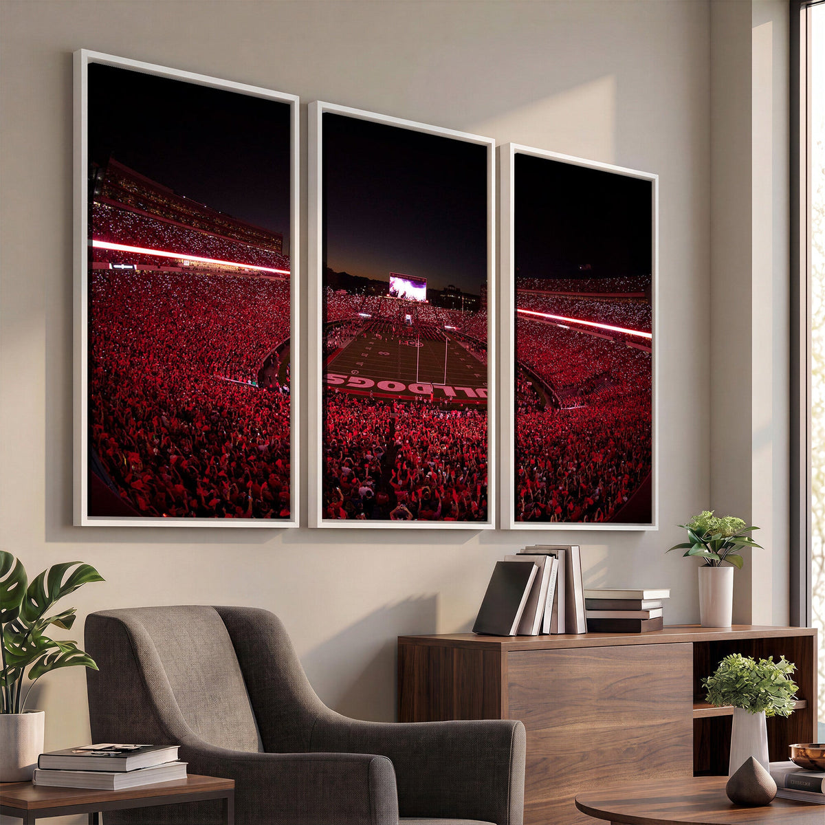 Dooley Stadium Wall Art, Sports Arena Canvas Print, Dooley Field Sanford Stadium