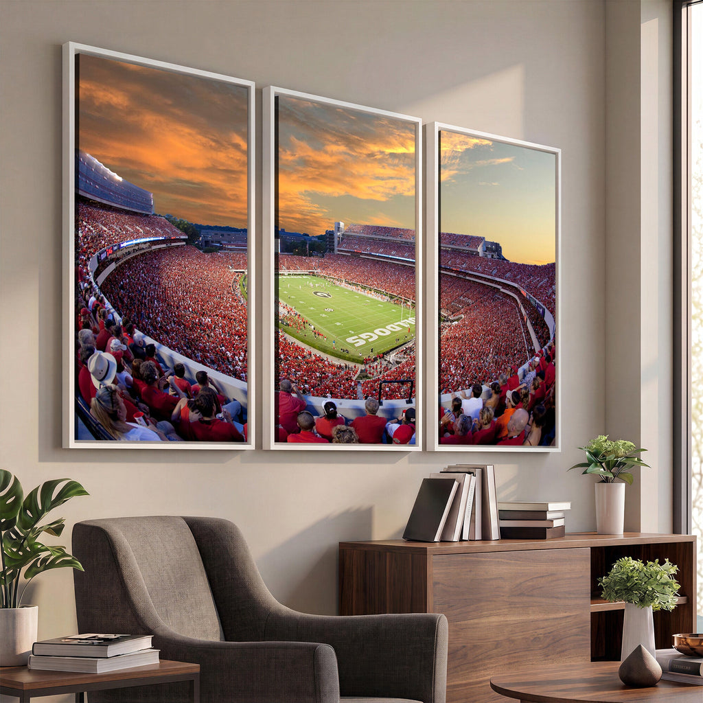 Dooley Stadium Wall Art, Sports Arena Canvas Print, Dooley Field, Framed and Ready to Hang