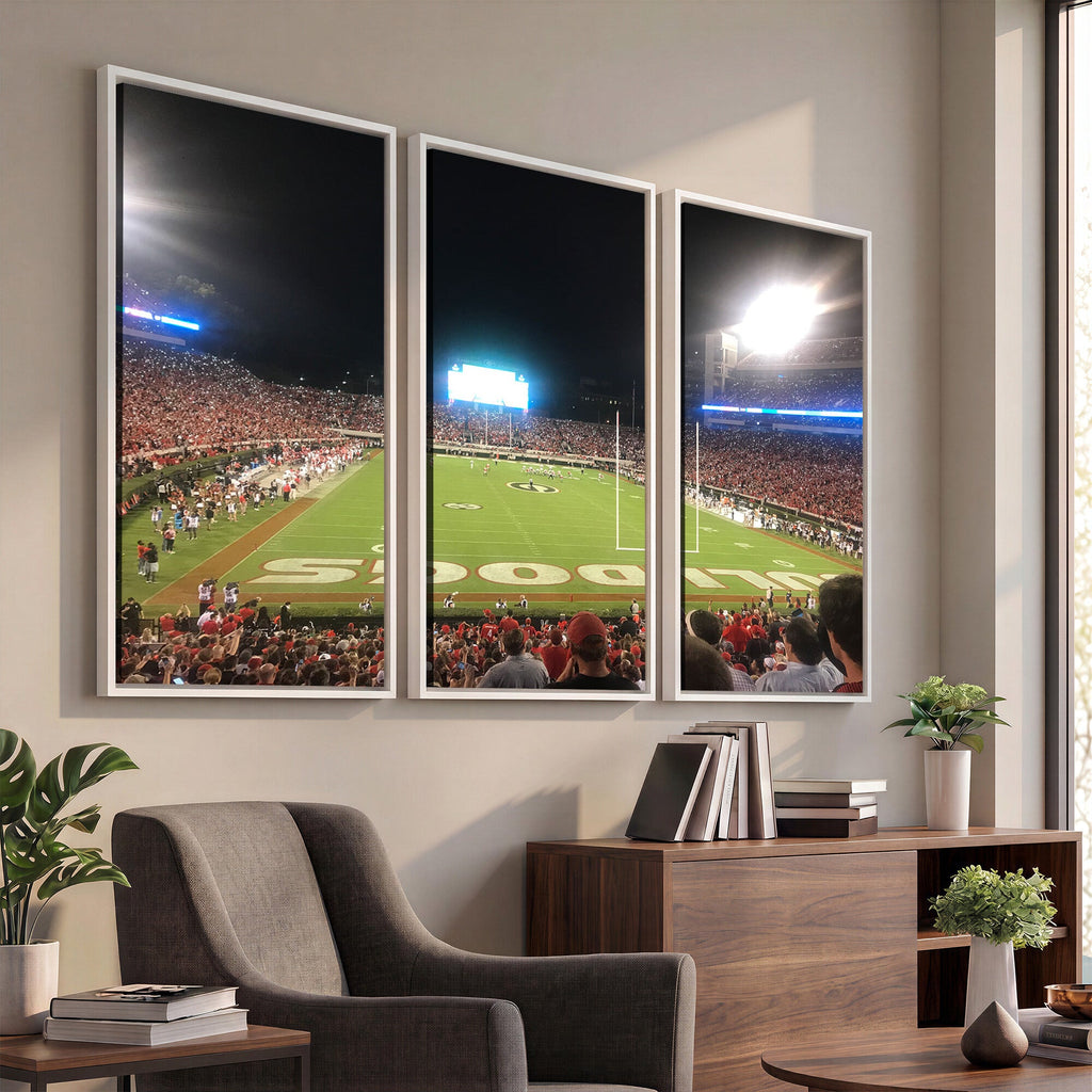 Dooley Stadium Wall Art, Sports Arena Panoramic Canvas