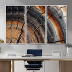 Abstract Tree Ring Wall Art Print, Natural Rustic Wood Grain Canvas