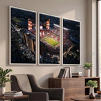 Oklahoma Memorial Stadium, Gaylord Memorial Stadium Wall Art