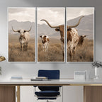 Rustic Texas Longhorn Cow Canvas Wall Art Print, Farm Animal Photography