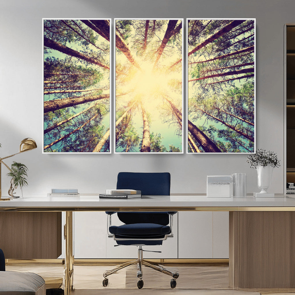 Tree and Sunshine Canvas Print