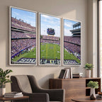 TCU Horned Frogs Football Team Print, Fort Worth Amon G. Carter Stadium, Framed and Ready to Hang