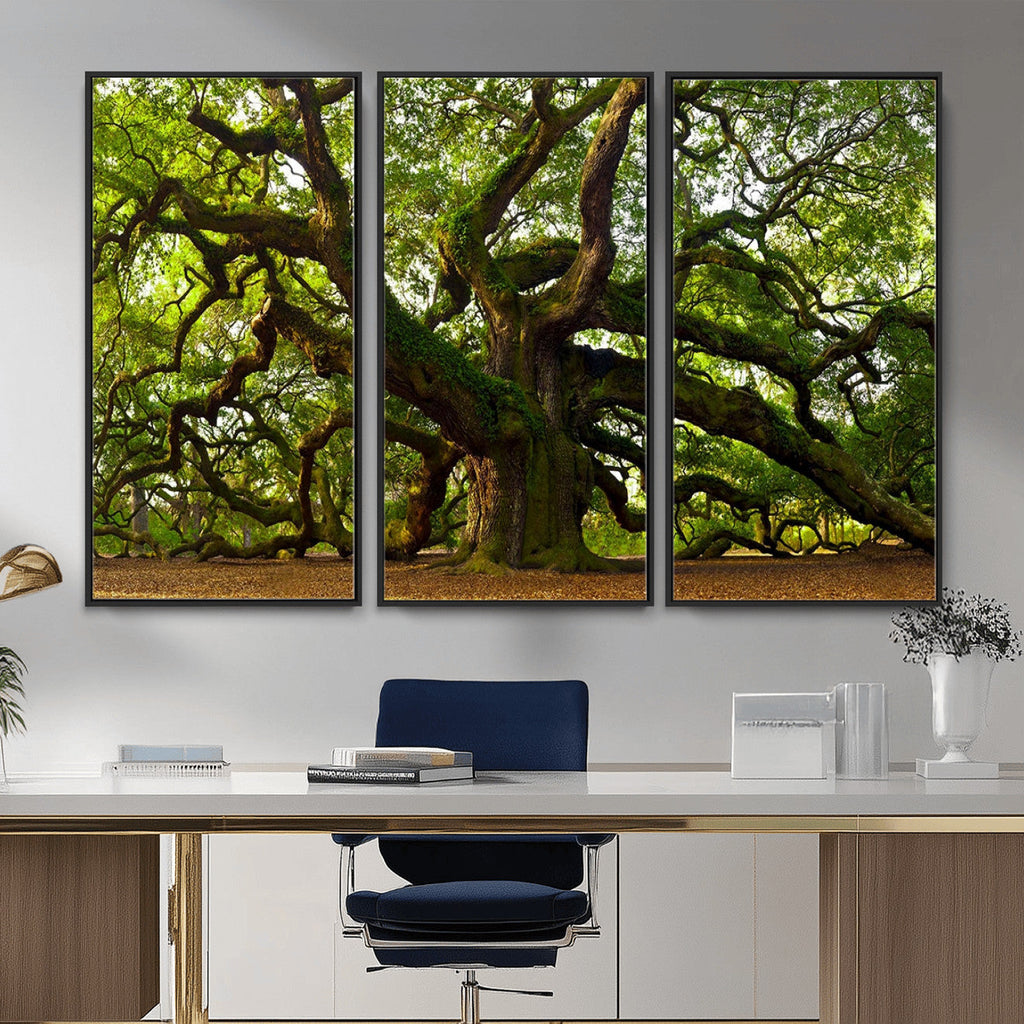 Angel Oak Tree Wall Art Canvas Print | Forest Tree Nature Photography Print