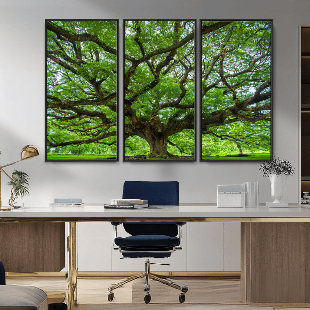 Ancient Tree Wall Art Canvas Print, Framed Sprawling Branches