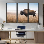 Wild Bison Wall Art | Framed Prairie Landscape Canvas
