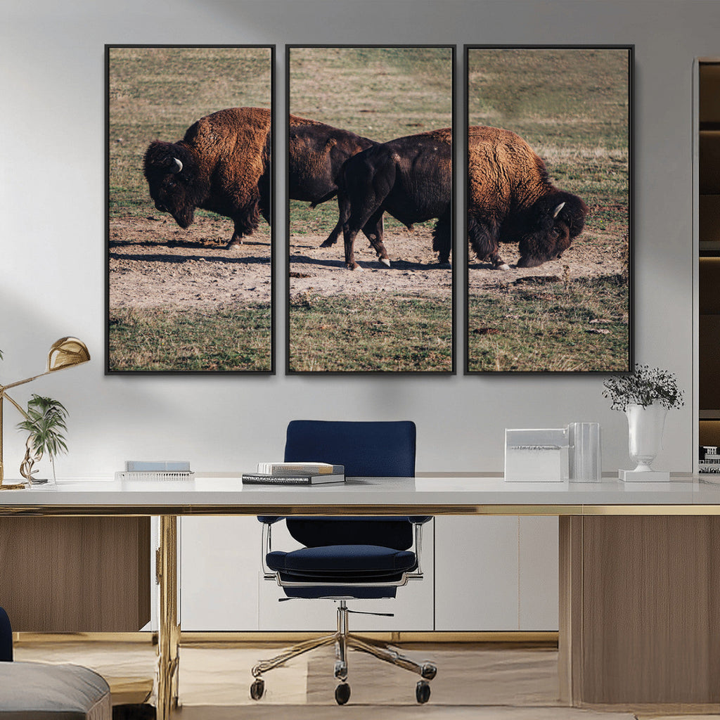 Bison Wall Art Canvas Print, Framed Western Wildlife Modern Ranch