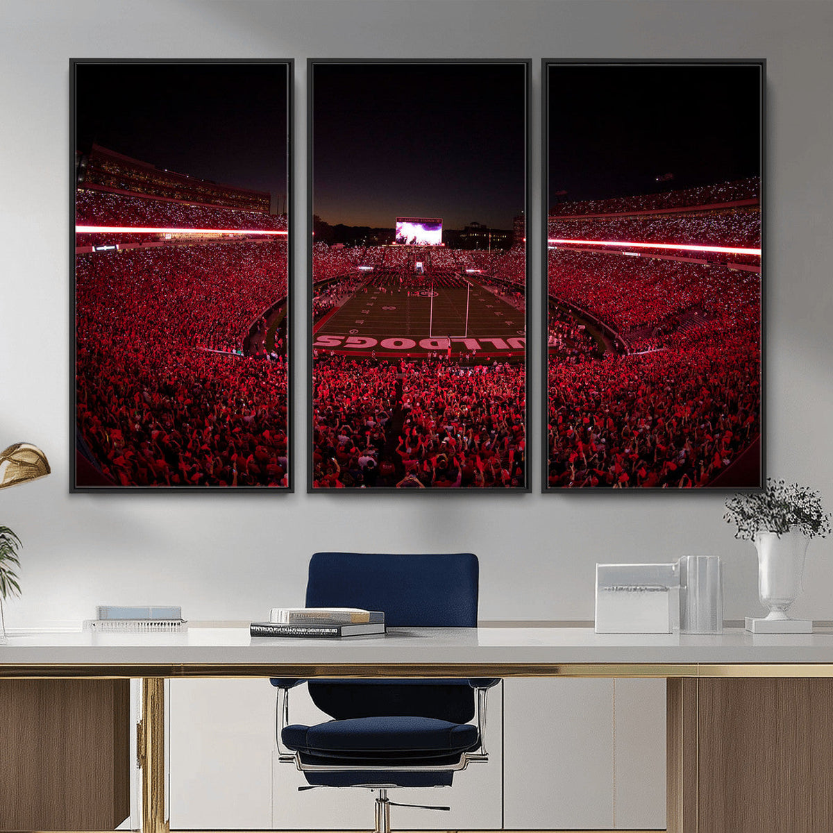 Dooley Stadium Wall Art, Sports Arena Canvas Print, Dooley Field Sanford Stadium