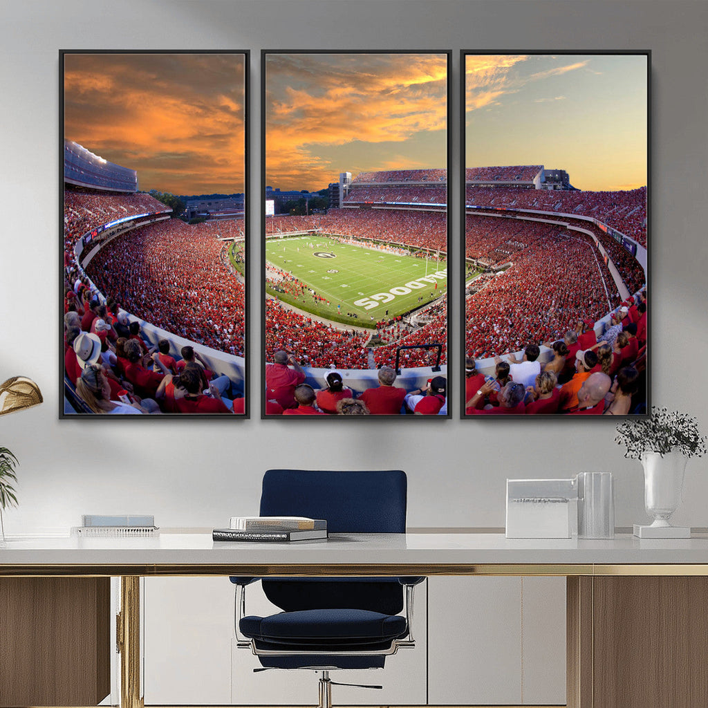 Dooley Stadium Wall Art, Sports Arena Canvas Print, Dooley Field, Framed and Ready to Hang