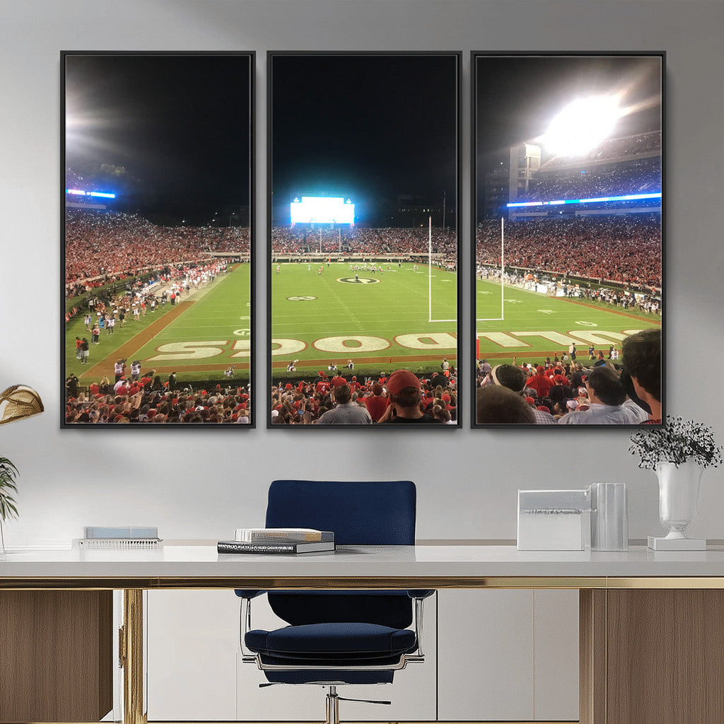 Dooley Stadium Wall Art, Sports Arena Panoramic Canvas