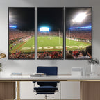 Dooley Stadium Wall Art, Sports Arena Panoramic Canvas