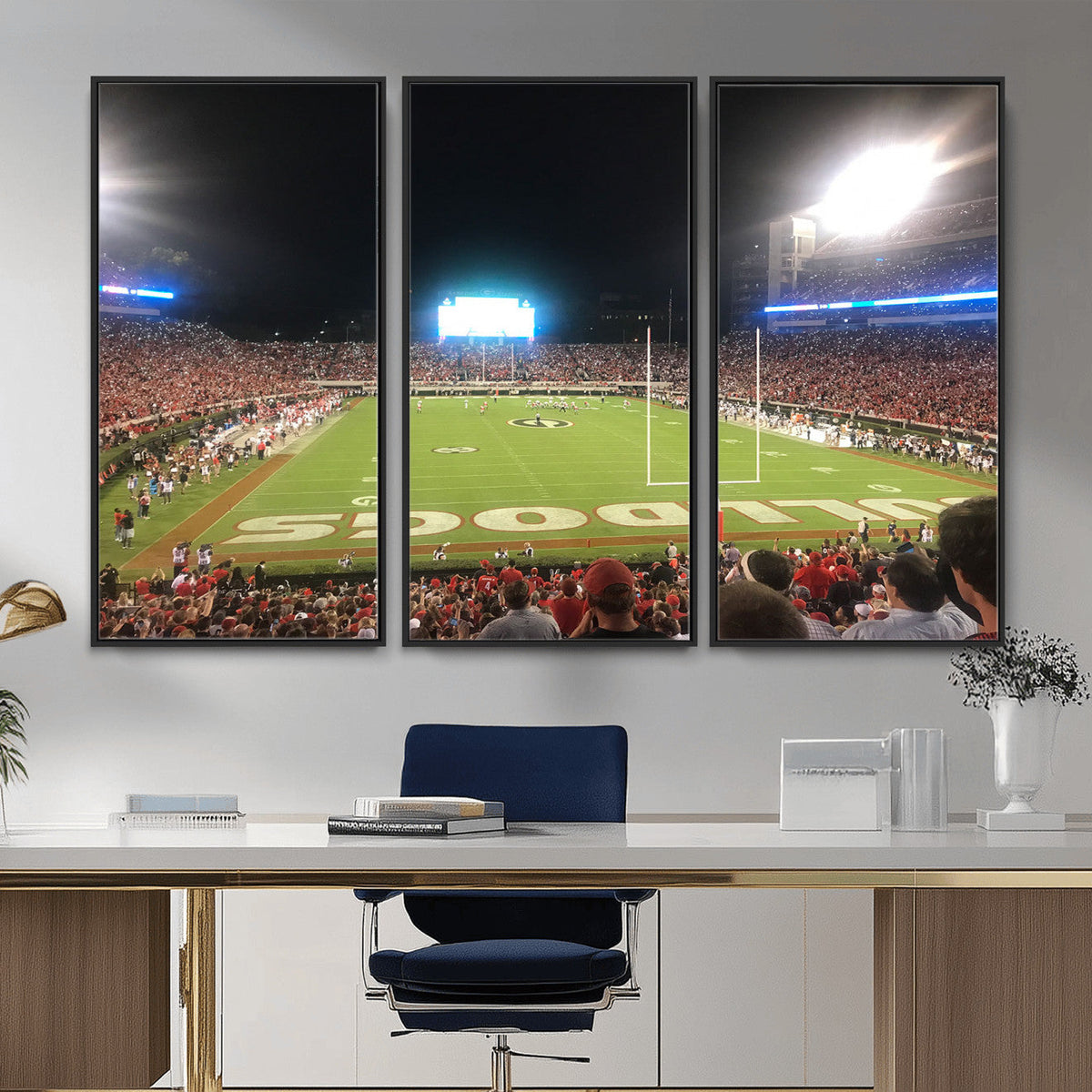 Dooley Stadium Wall Art, Sports Arena Panoramic Canvas