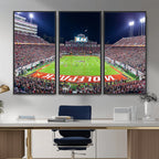 Wolfpack Football Team Print, Raleigh Carter-Finley Stadium