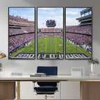 TCU Horned Frogs Football Team Print, Fort Worth Amon G. Carter Stadium, Framed and Ready to Hang