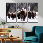 Bison Wall Art Canvas Print, Bison Herd Canvas Wall Art