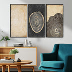 Tree Rings Canvas Wall Art Print, Minimalist Natural History in Modern Decor