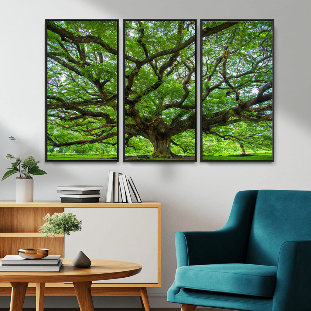 Ancient Tree Wall Art Canvas Print, Framed Sprawling Branches