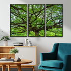 Ancient Tree Wall Art Canvas Print, Framed Sprawling Branches