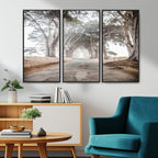 Cypress Tunnel Wall Art | Framed Misty Road Canvas Artwork