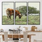 Texas Longhorn Wall Art Canvas Print, Rustic Western Ranch