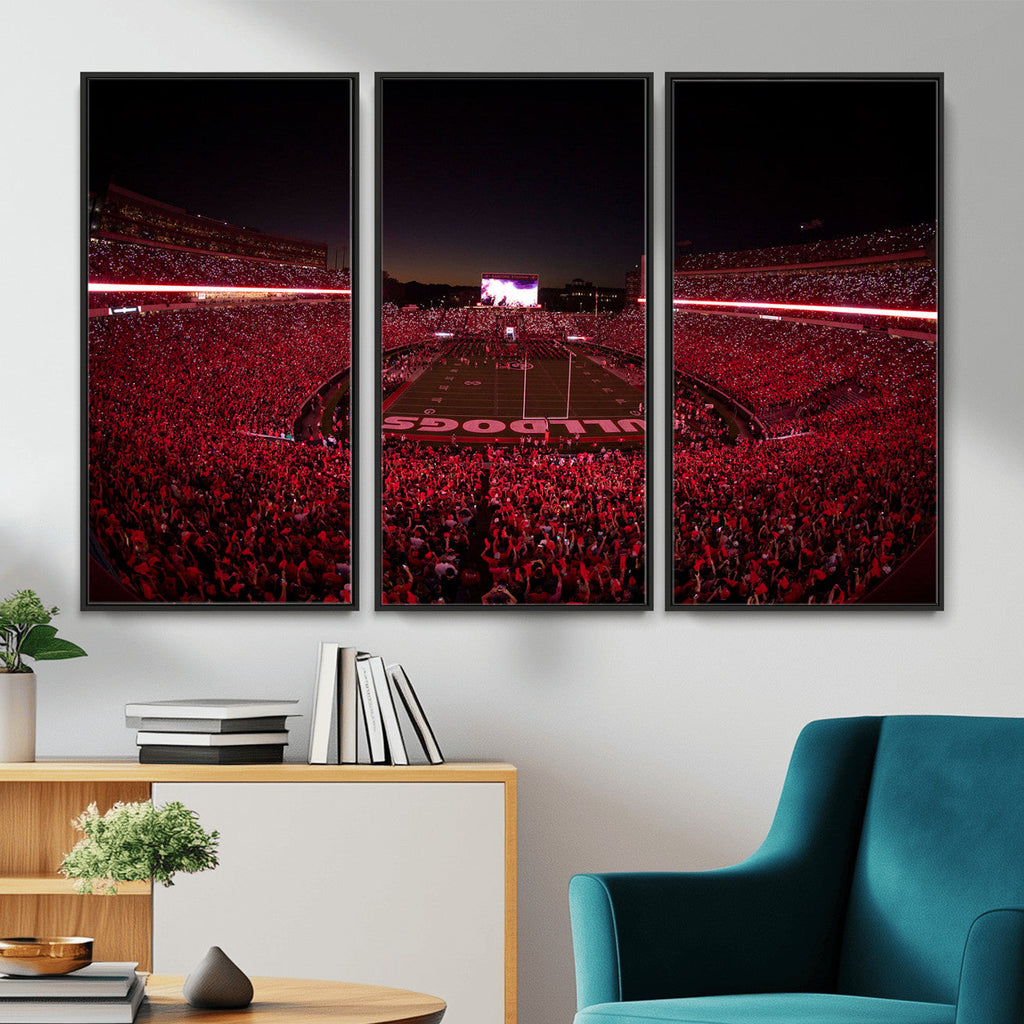 Dooley Stadium Wall Art, Sports Arena Canvas Print, Dooley Field Sanford Stadium