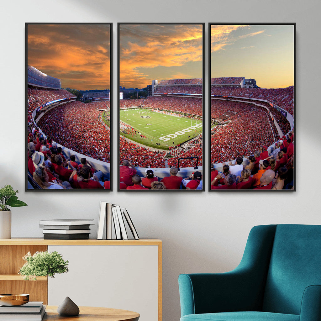 Dooley Stadium Wall Art, Sports Arena Canvas Print, Dooley Field, Framed and Ready to Hang
