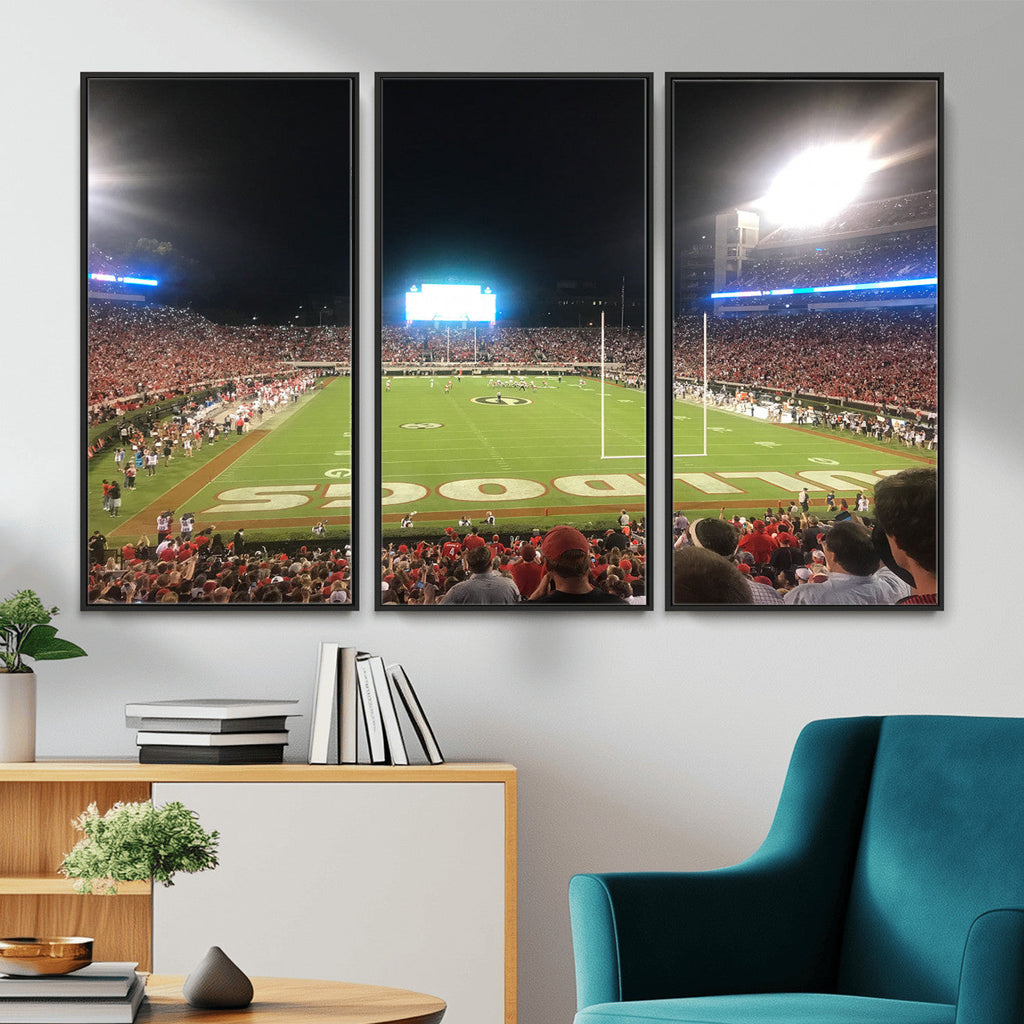 Dooley Stadium Wall Art, Sports Arena Panoramic Canvas