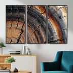 Abstract Tree Ring Wall Art Print, Natural Rustic Wood Grain Canvas