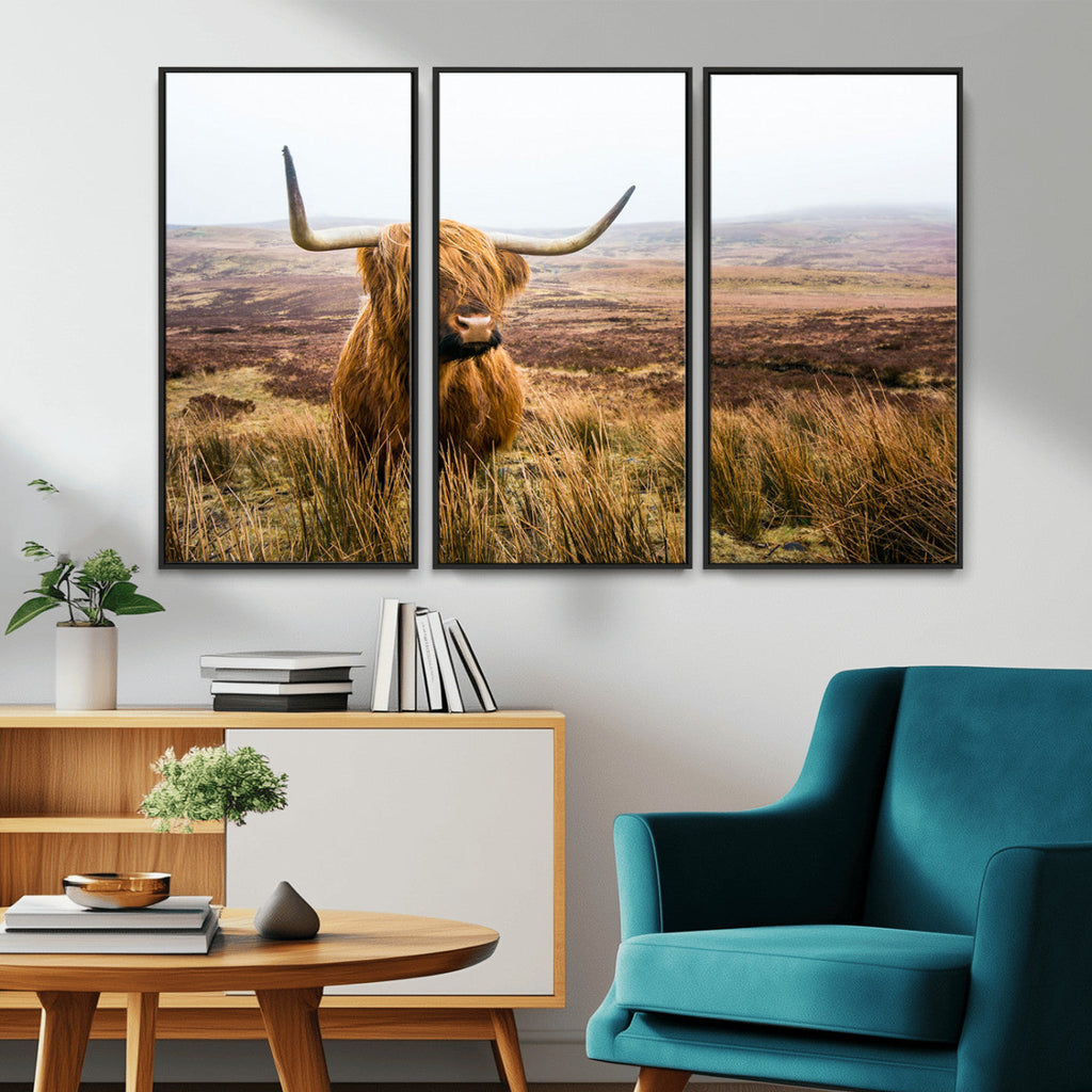 Scottish Highland Cow Canvas Wall Art, Rustic Farmhouse Decor