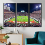 Wolfpack Football Team Print, Raleigh Carter-Finley Stadium