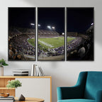 TCU Horned Frogs Football Team Print, Fort Worth Amon G. Carter Stadium