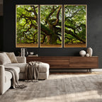 Angel Oak Tree Wall Art Canvas Print | Forest Tree Nature Photography Print