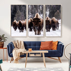 Bison Wall Art Canvas Print, Bison Herd Canvas Wall Art