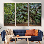 Historic Tree Wall Art | Framed Mossy Branch Canvas Artwork