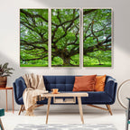 Ancient Tree Wall Art Canvas Print, Framed Sprawling Branches