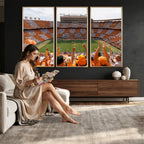 Tennessee Neyland Stadium Wall Art, Sports Arena Canvas, Home Bar Wall Decor