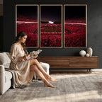 Dooley Stadium Wall Art, Sports Arena Canvas Print, Dooley Field Sanford Stadium
