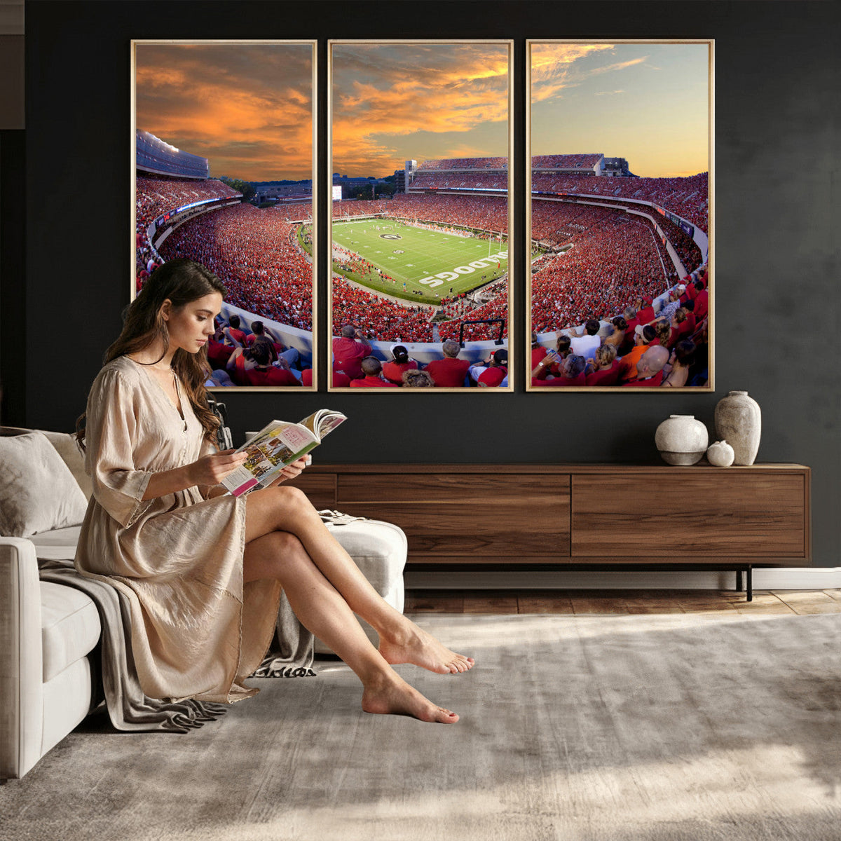 Dooley Stadium Wall Art, Sports Arena Canvas Print, Dooley Field, Framed and Ready to Hang