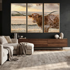 Texas Longhorn Wall Art Canvas Print, Western Ranch Bull Photography